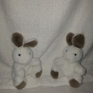 Twin White Bunnies